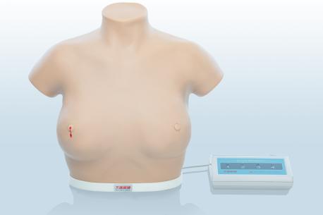 電子乳腺癌觸診、視診訓(xùn)練模型